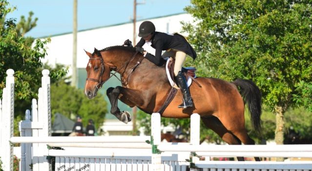 Hallie Grimes and Inquisitive are Victorious in the National Hunter Derby at Fiesta Classic